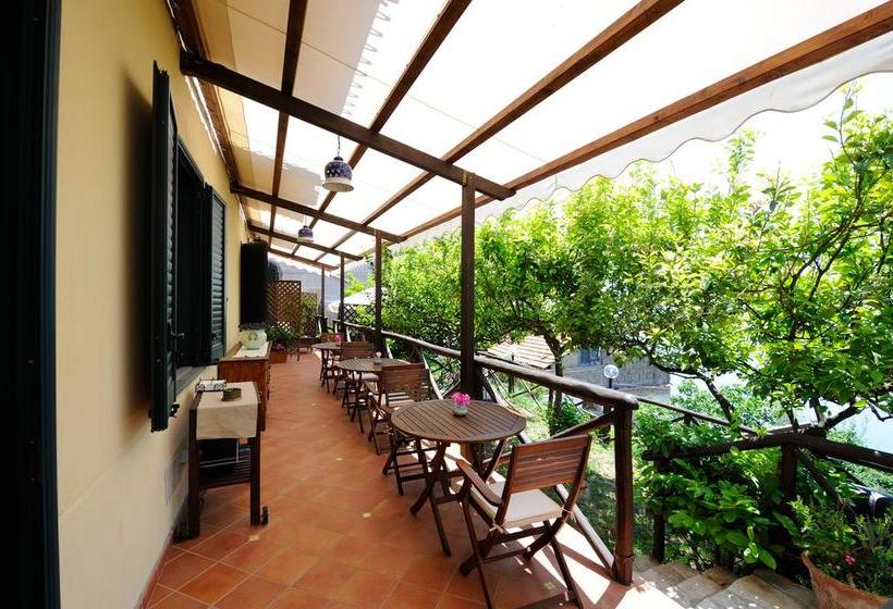 Bed and Breakfast Solaria  | Amalfi | Salerno | Italia 7