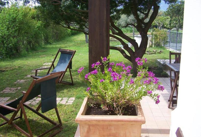 B&b Fiore  | Pula | Sardegna | Italia 11