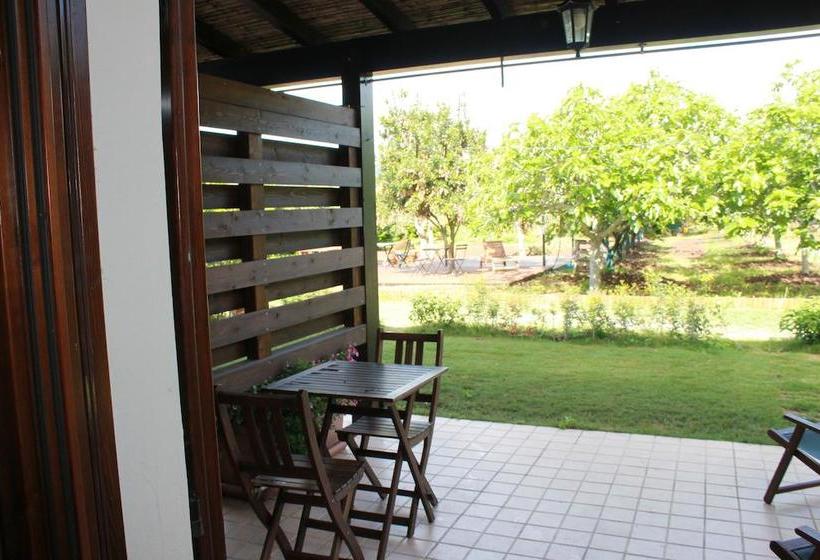 B&b Fiore  | Pula | Sardegna | Italia 13