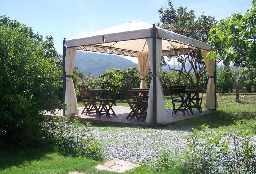 B&b Fiore  | Pula | Sardegna | Italia 5