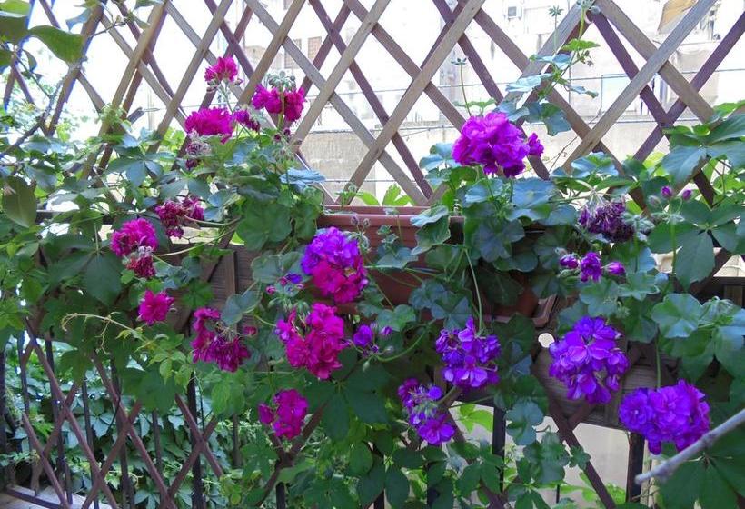 B&b Pintaderas  | Quartu Sant'Elena | Sardinia | Itália 2