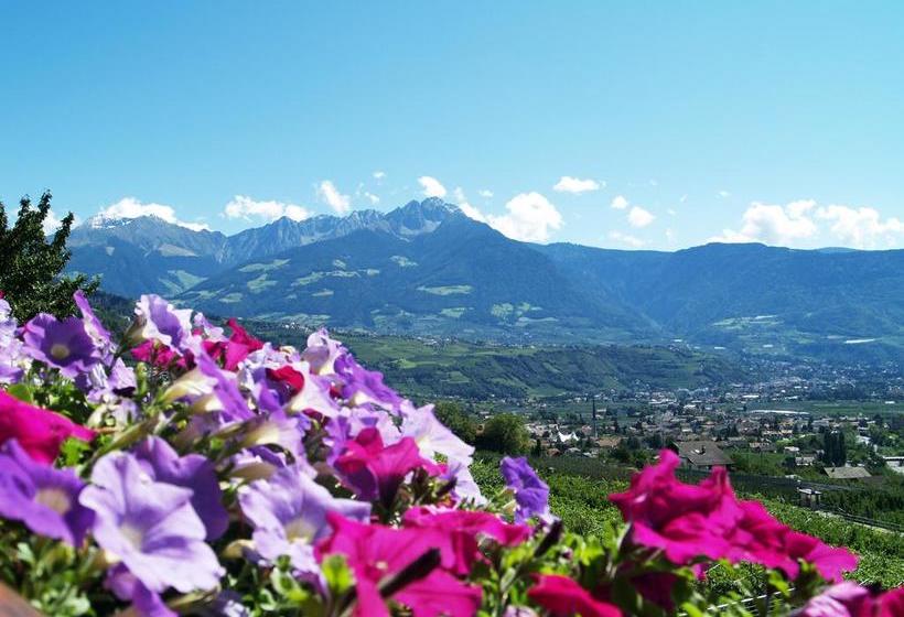 Hotel Pension Alpenblick  | Algund | Bolzano | Italia 12