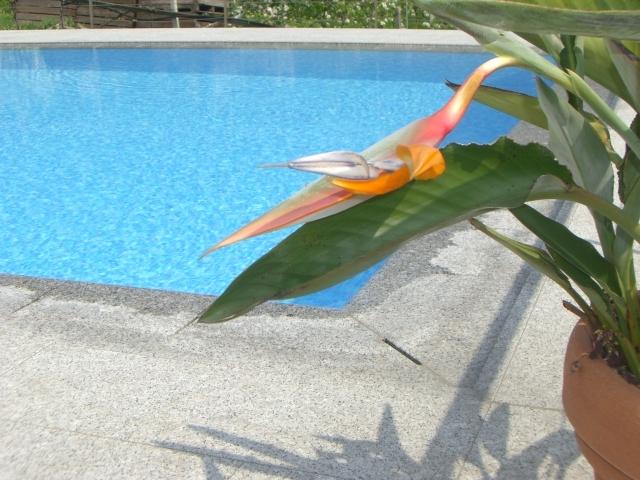 Hotel Pension Alpenblick  | Algund | Bolzano | Italia 19