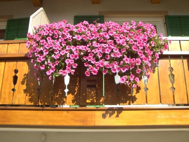 Hotel Pension Alpenblick  | Algund | Bolzano | Italia 20