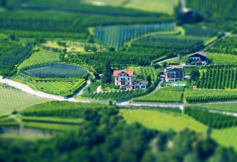 Hotel Pension Alpenblick  | Algund | Bolzano | Italia 3