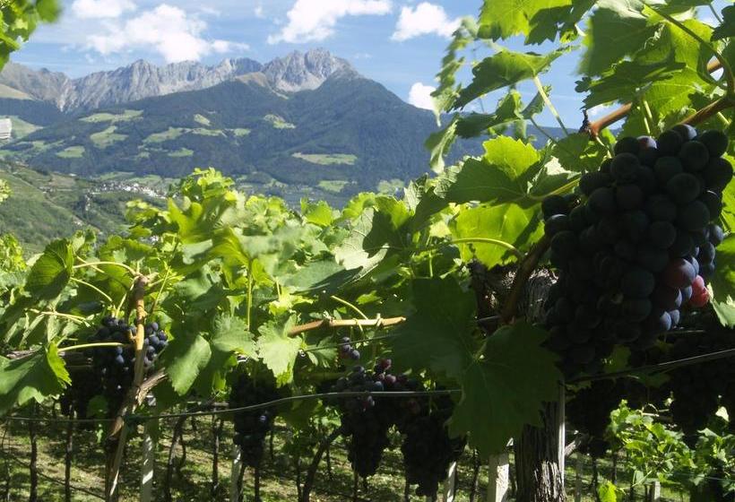 Hotel Pension Alpenblick  | Algund | Bolzano | Italia 6