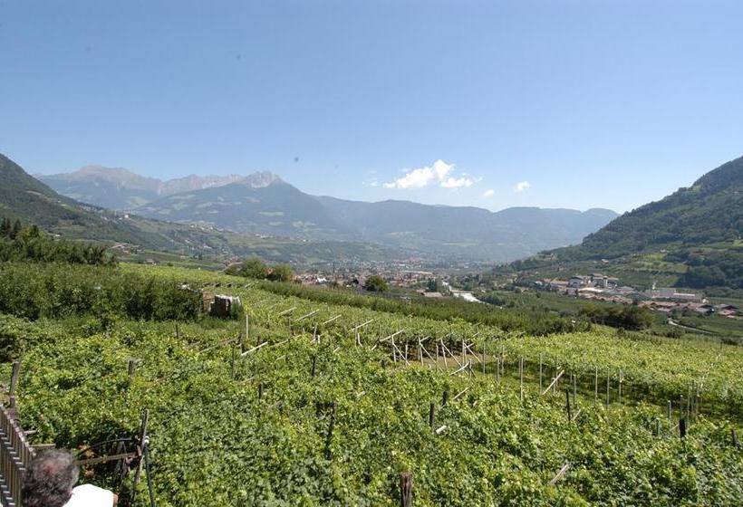 Hotel Pension Alpenblick  | Algund | Bolzano | Italia 8