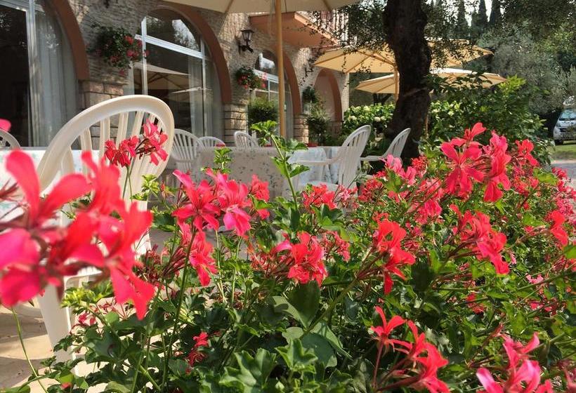 Hotel Zanetti  | Torri del Benaco | Verona | Italia 2