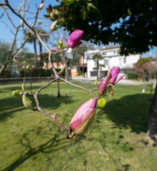Hotel Olimpia  | Sirmione | Brescia | Itália 20