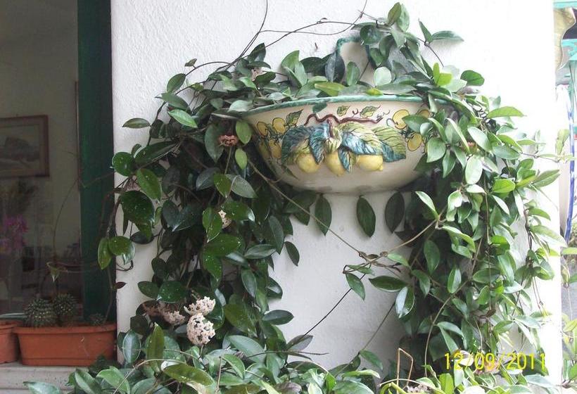 Casa Seralba B&b  | Ischia | Napoli | Italia 15