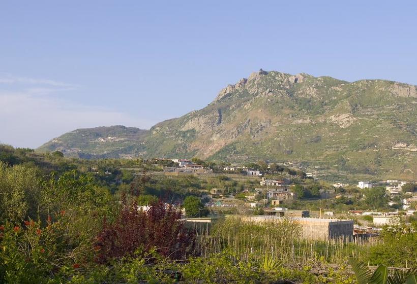 Casa Seralba B&b  | Ischia | Napoli | Italia 2