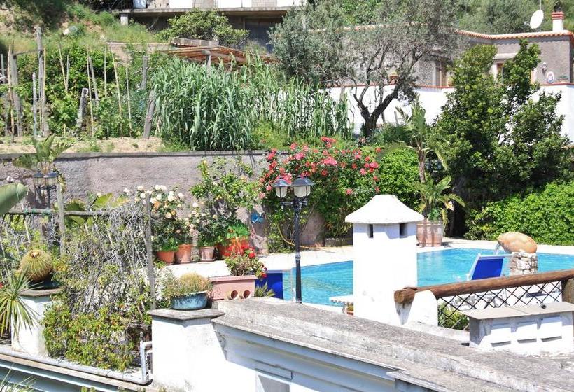 Casa Seralba B&b  | Ischia | Napoli | Italia 6