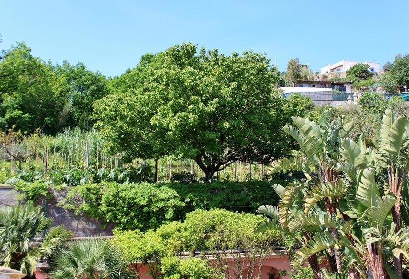 Casa Seralba B&b  | Ischia | Napoli | Italia 9