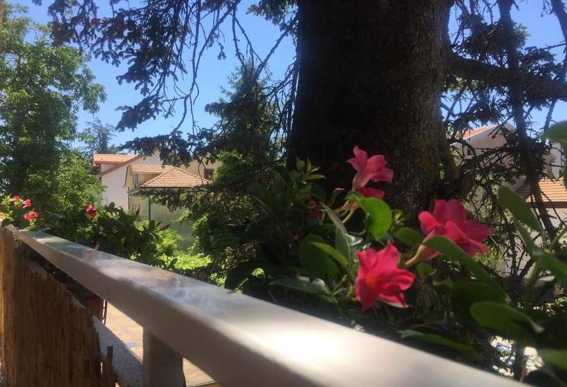 Bed and Breakfast New Royal  | Agerola | Napoles | Itália 5