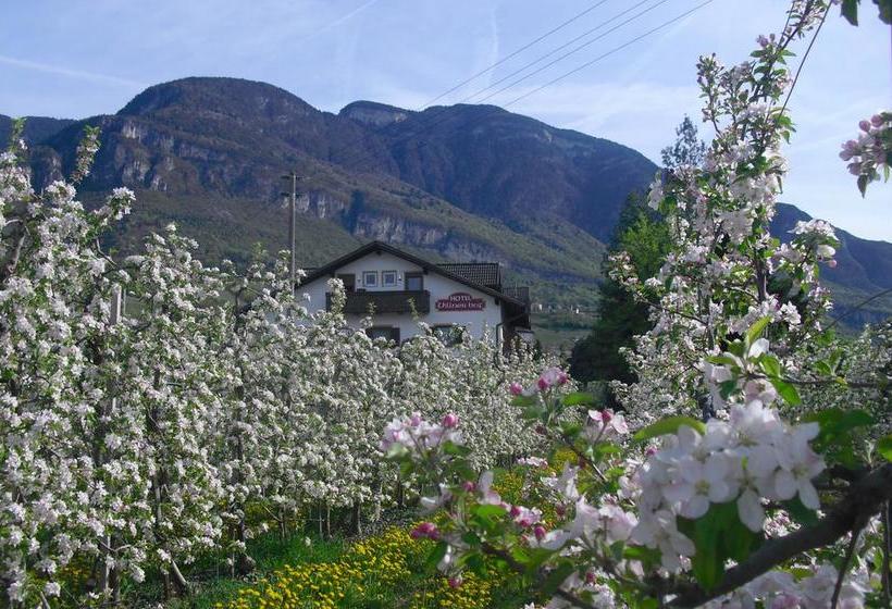 Hotel Villnerhof  | Egna | Bolzano | Italia 18