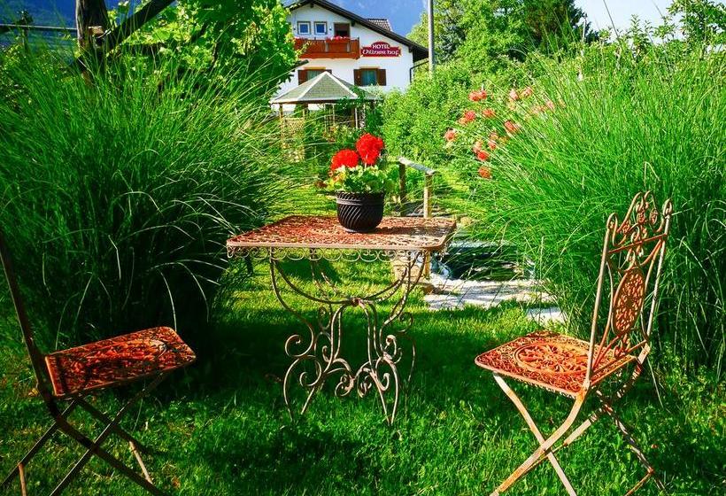 Hotel Villnerhof  | Egna | Bolzano | Italia 2