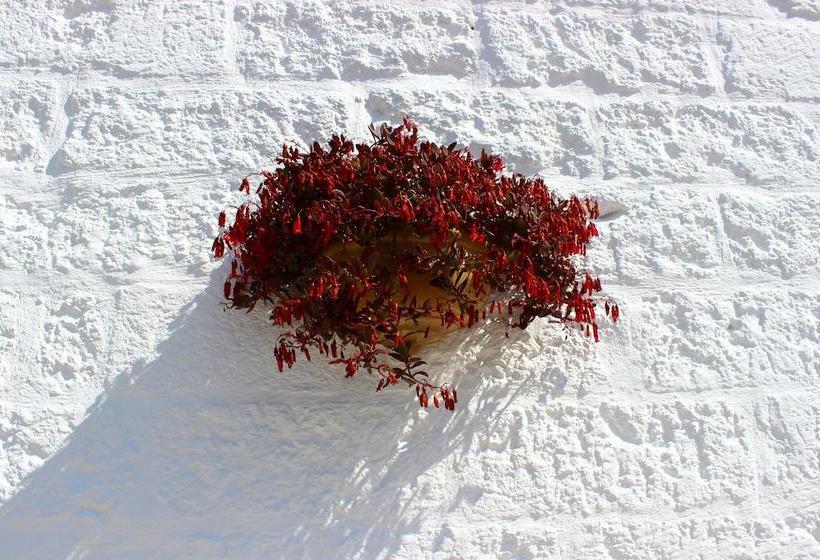 Bed and Breakfast Antico Mondo  | Polignano a Mare | Bari | Italy 19