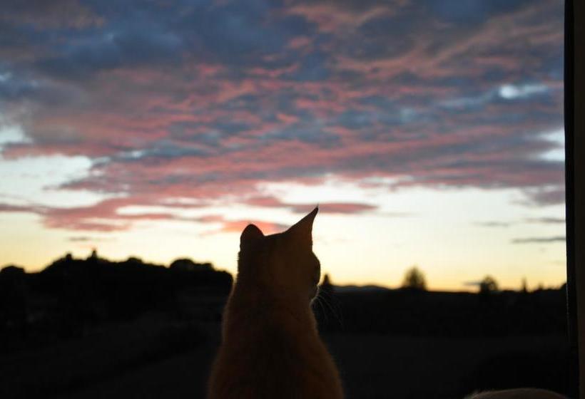 B&b La Flora  | Siena | Siena | Italia 2