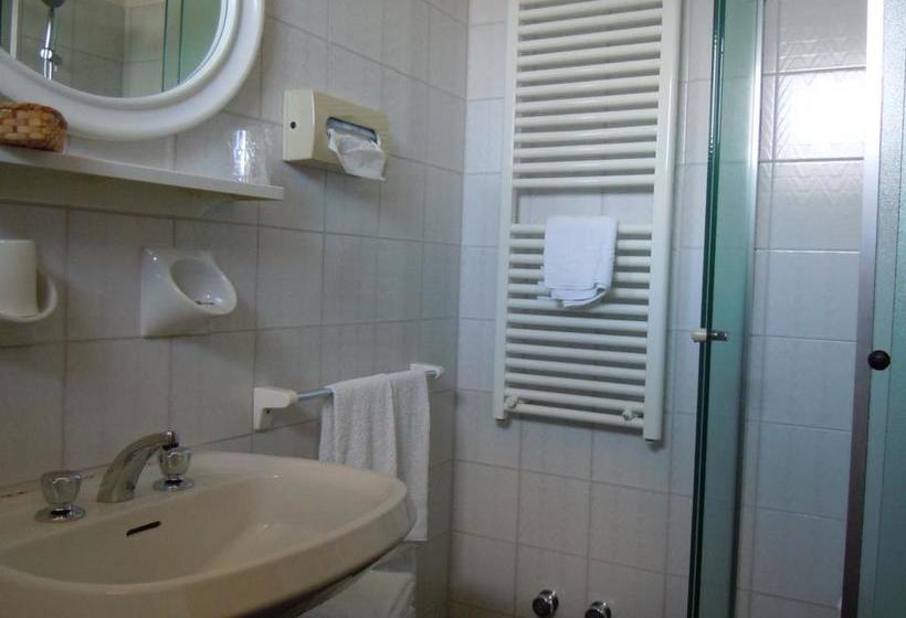 Hotel Albergo Bagner  | Sirmione | Brescia | Italia 15