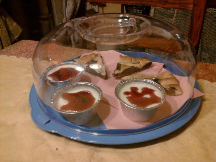 Bed and Breakfast Happy House  | Pisa | Pisa | Italia 19