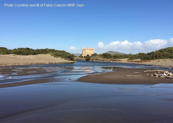 Bed and Breakfast Capalbio Vacanze  | Capalbio | Grosseto | Italia 13