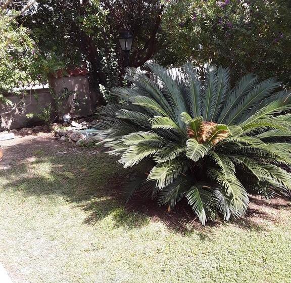 Bed and Breakfast Capalbio Vacanze  | Capalbio | Grosseto | Italia 17