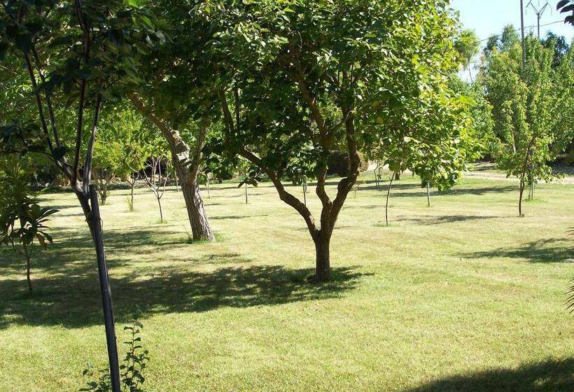 B&b Da Giovanna  | Fertilia | Sardinia | Italien 10