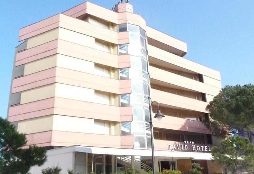 Hotel David  | Cesenatico | Forlì-Cesena | Italia 2