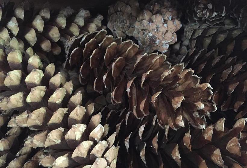 Hotel Arnaria  | Ortisei | Bolzano | Italia 10