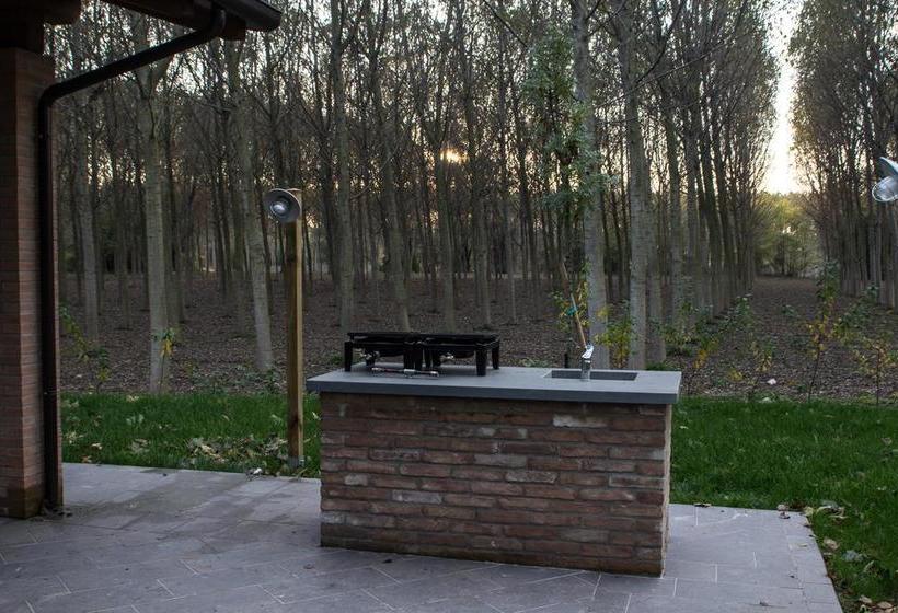 B&b Ostello Bortolino  | Viadana | Mantova | Italia 10