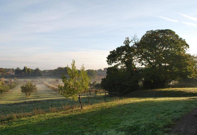 Bed and Breakfast Villa Farinella  | Viterbo | Viterbo | Italy 13