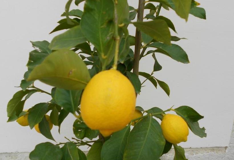 Bed and Breakfast Le Tre Sorelle Bari