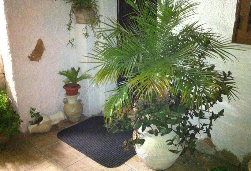 Bed and Breakfast La Pergola  | Custonaci | Trapani | Italy 20