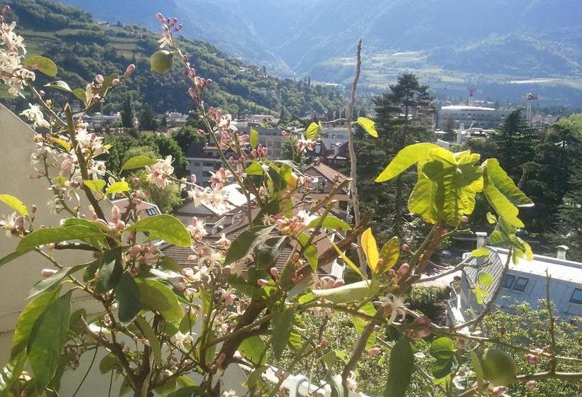 Hotel Lux  | Merano | Bolzano | Italia 20