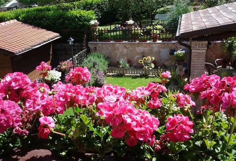 Bed and Breakfast Casa Del Girasole  | Genazzano | Roma | Italia 17