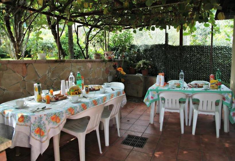 Bed and Breakfast Casa Del Girasole  | Genazzano | Roma | Italia 19