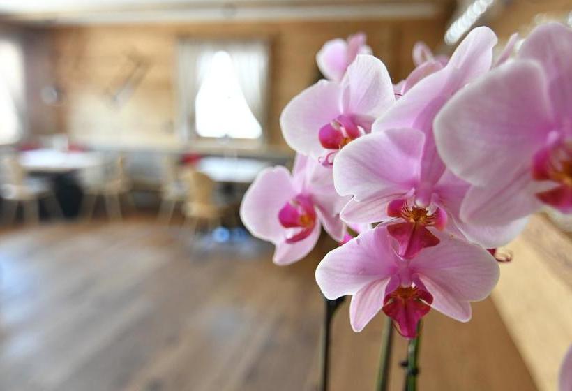 Hotel Kristall  | Maranza | Bolzano | Italia 17