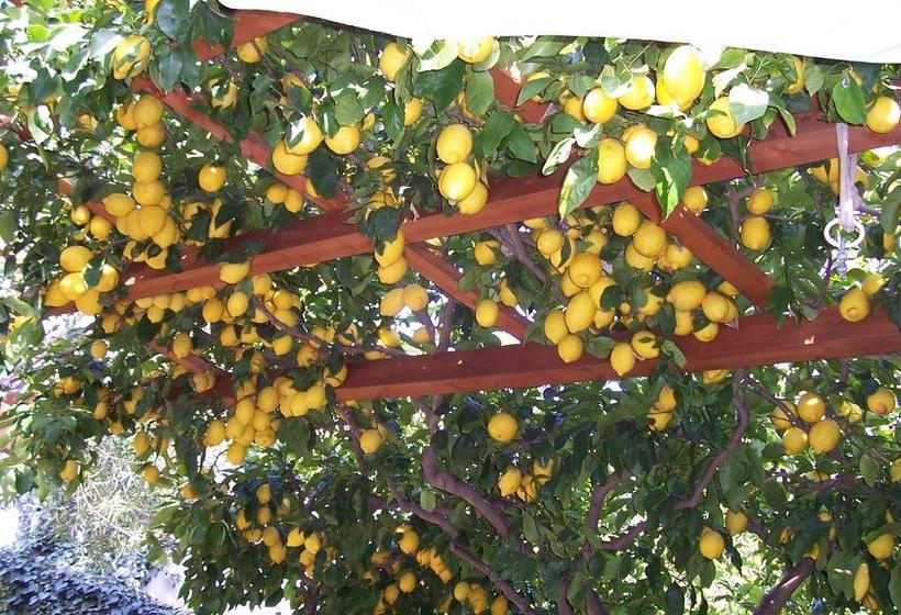 Bed and Breakfast Luna&limoni Town  | Muravera | Sardegna | Italia 8