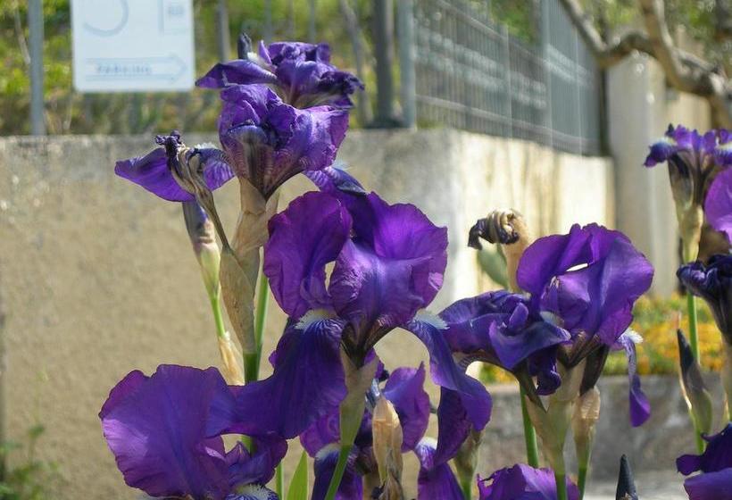 B&b Cinque Terre Da Levanto  | Levanto | La Spezia | Italie 1