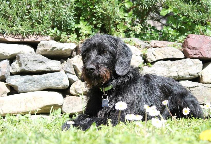 B&b Cinque Terre Da Levanto  | Levanto | La Spezia | Italie 2