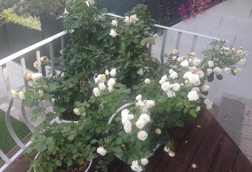 Bed and Breakfast Sestosenso Suites  | Campiglia Marittima | Livorno | Italia 12