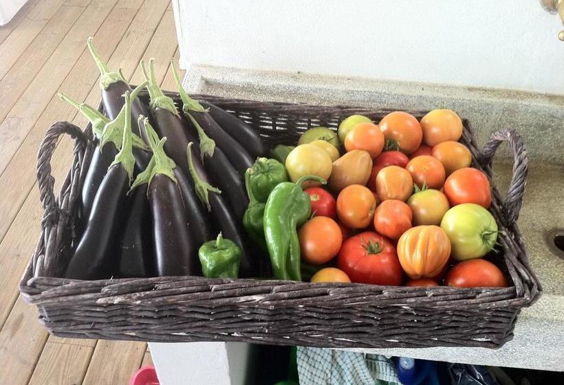 Bed and Breakfast Sestosenso Suites  | Campiglia Marittima | Livorno | Italia 15