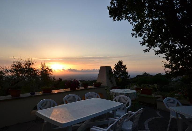 Al Pino B&b  | Grottaferrata | Roma | Italia 15