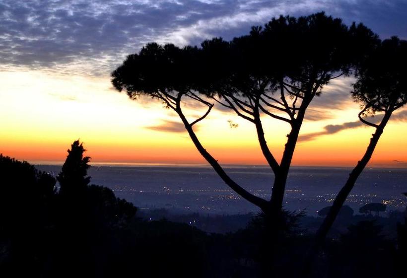 Al Pino B&b  | Grottaferrata | Roma | Italia 7