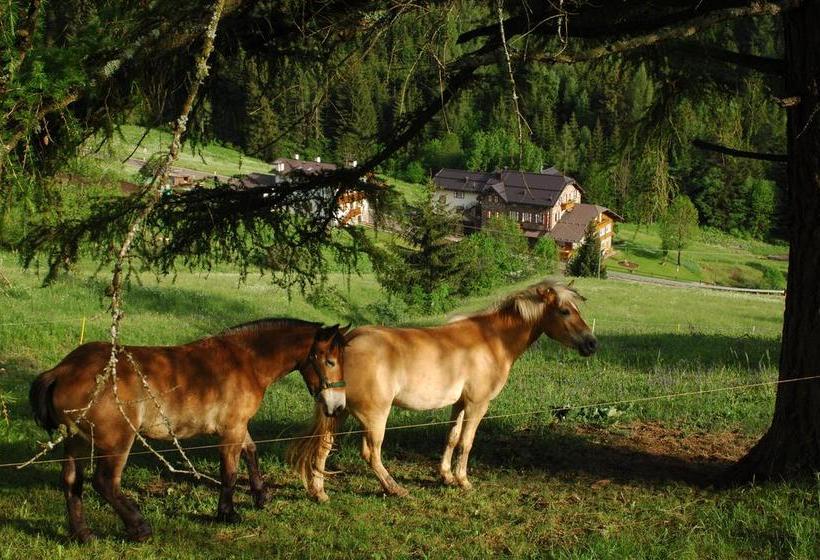 Mountain Hotel Zaluna  | Predazzo | Trento | Itália 7