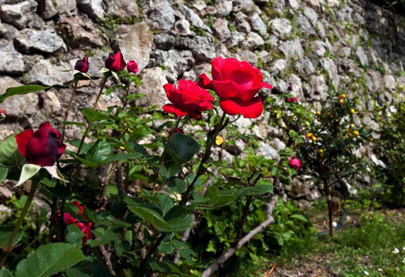 Bed and Breakfast Giardini Caffé Calce  | Ravello | Salerno | Italia 11