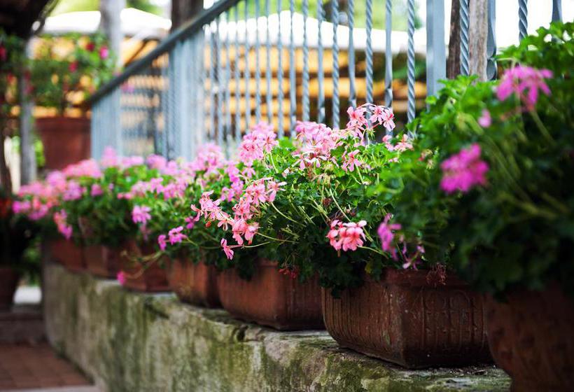 Bed and Breakfast Giardini Caffé Calce  | Ravello | Salerno | Italia 13
