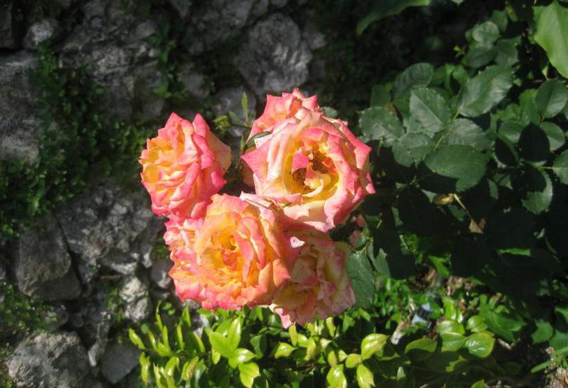 Bed and Breakfast Giardini Caffé Calce  | Ravello | Salerno | Italia 14