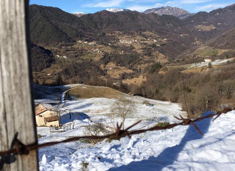 B&b Peter Pan  | Gargnano | Brescia | Italien 11