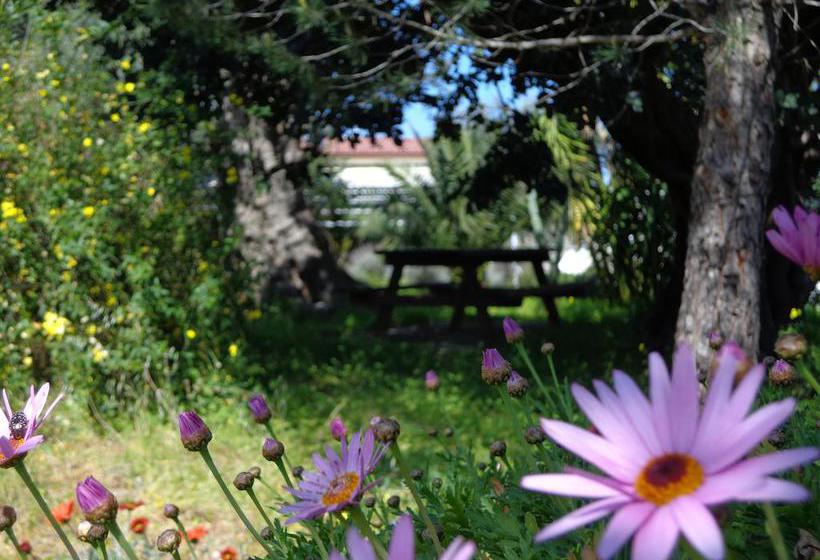 B&b Alla Panoramica  | Monopoli | Bari | Italie 10